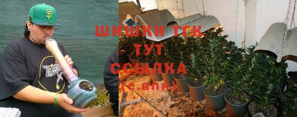 сатива Абинск