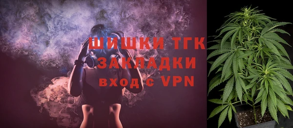 сатива Абинск