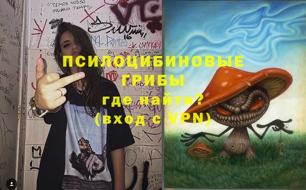 сатива Абинск