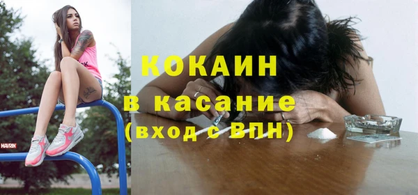 сатива Абинск