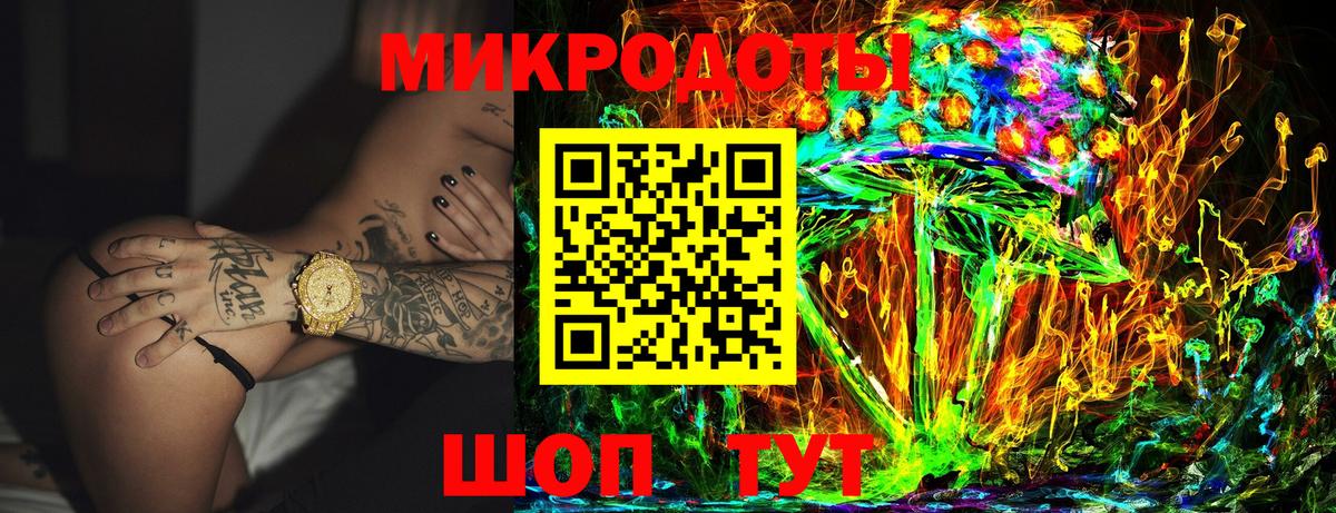 Галлюциногенные грибы Psilocybine cubensis  Вход с VPN  Галлюциногенные грибы мицелий  Кашира 