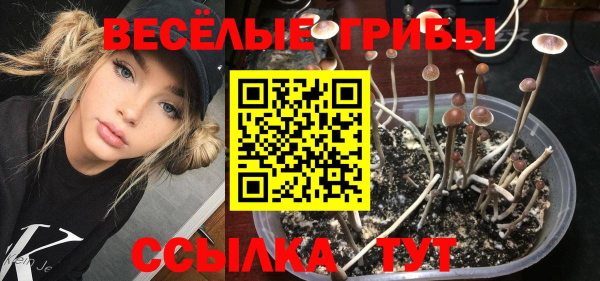 Псилоцибиновые грибы Magic Shrooms Кашира