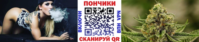 Бошки марихуана сатива  Кашира 