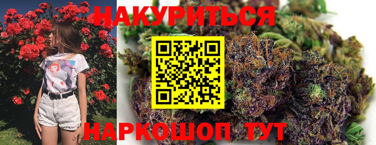Бошки Шишки ГИДРОПОН  Канабис THC 21%  Кашира  Вход с VPN 
